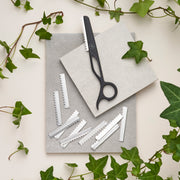 Replacement blades for Leaf Razor