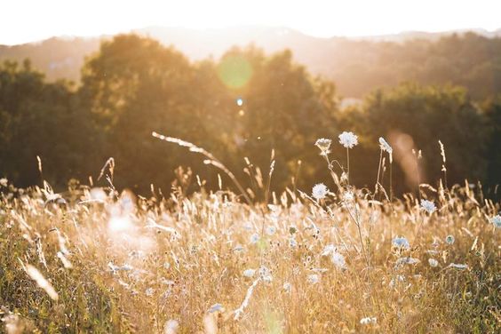 How Living Seasonally Will Change Your Life