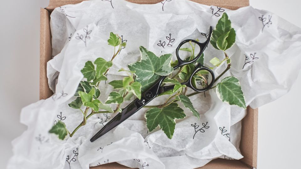 Different Types of Scissors for Hair Cutting