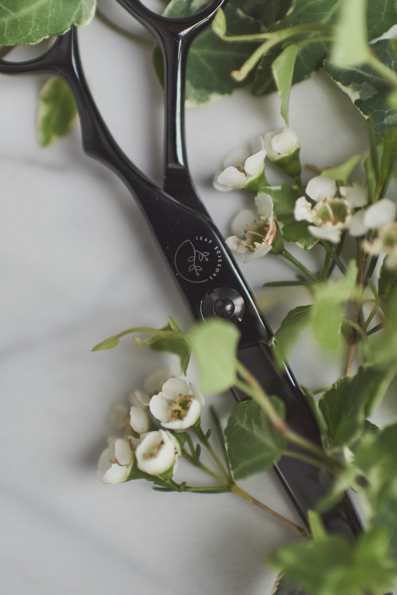 How to hold hairdressing scissors correctly