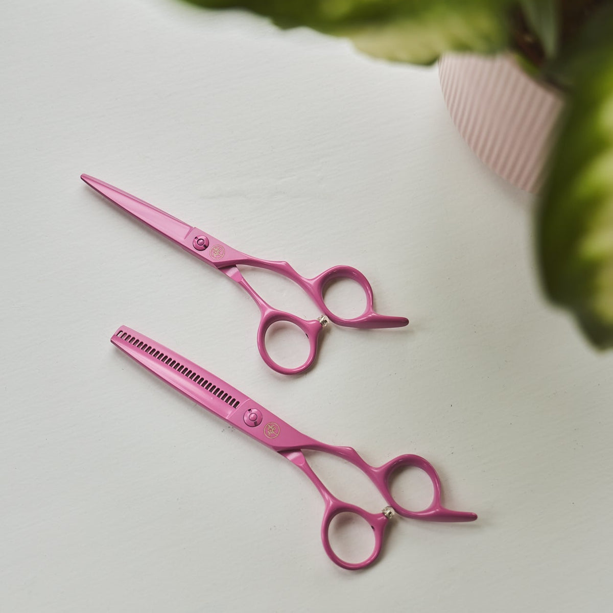 Pink Edition Duo Set