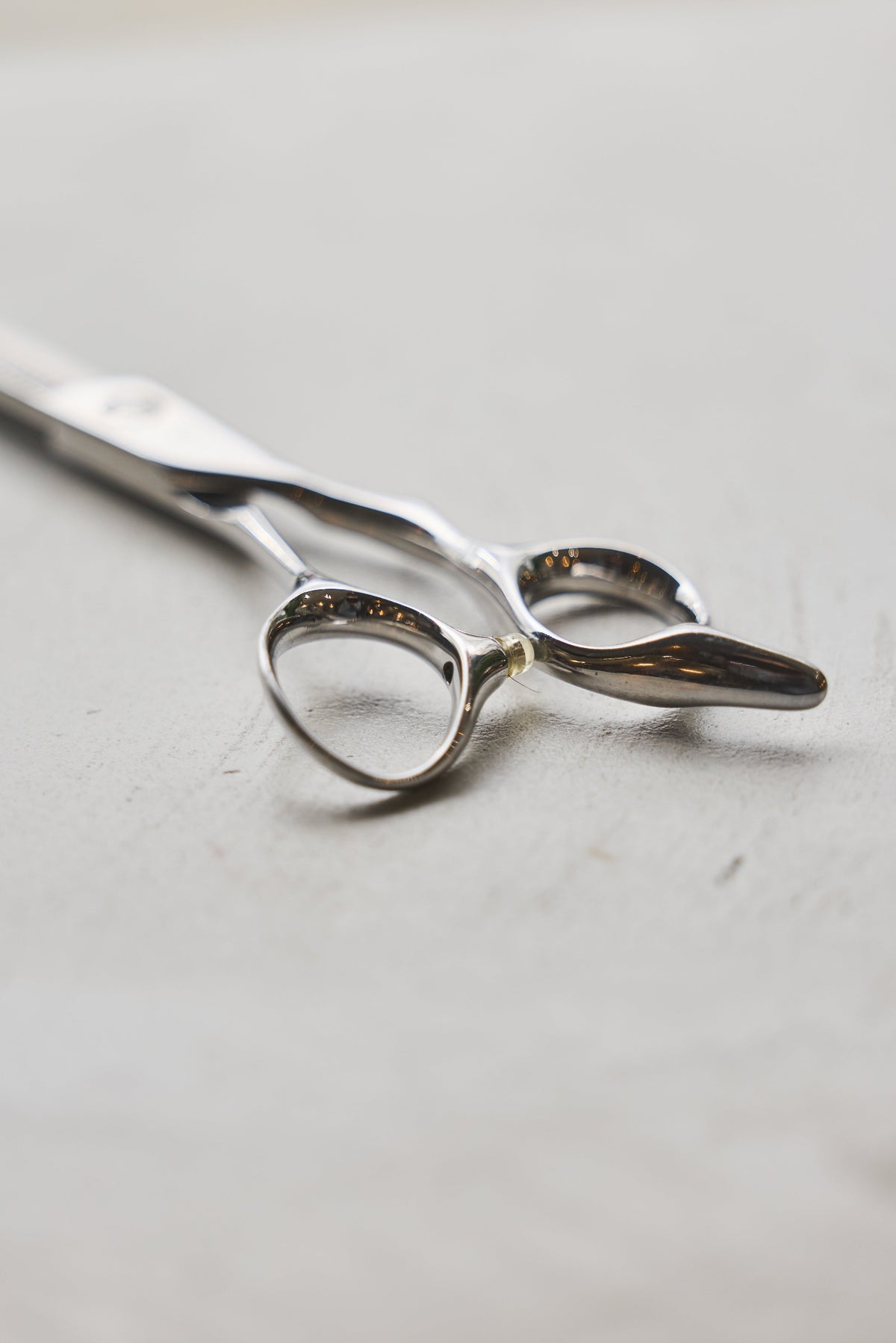 Leaf Swivel Scissor